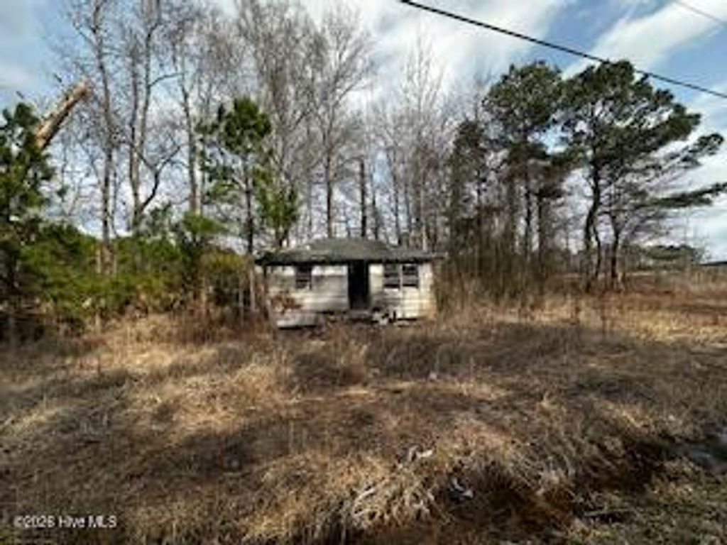 Photo of 362 Sandy Cross Road, Belvidere, NC 27919 (MLS # 100555853)