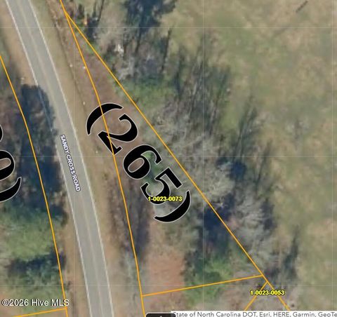 Vacant Land For Sale - 362 Sandy Cross Road<br/> Belvidere, NC 27919