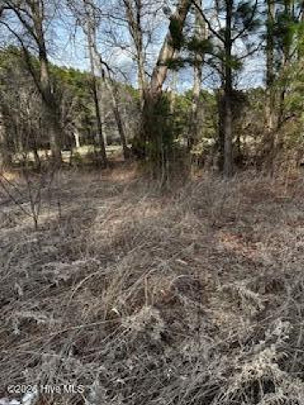 Photo of 362 Sandy Cross Road, Belvidere, NC 27919 (MLS # 100555853)