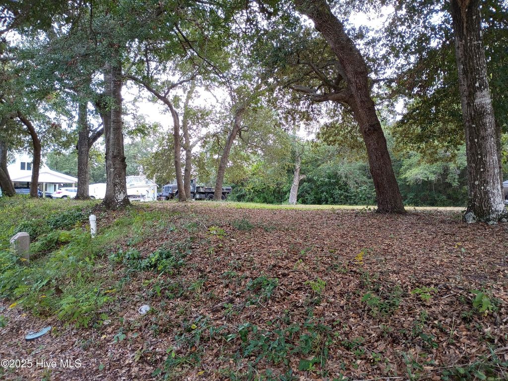 Photo of 107 SW 28th Street, Oak Island, NC 28465 (MLS # 100533823)