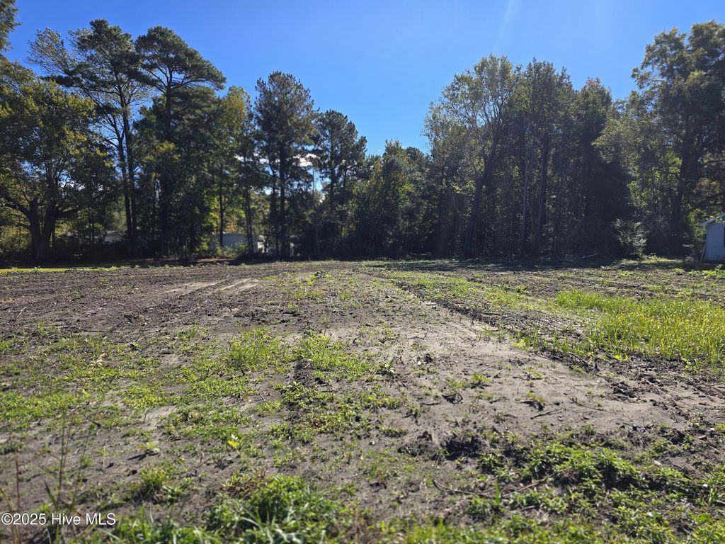 Photo of 1388 Old Folkstone Road, Sneads Ferry, NC 28460 (MLS # 100539206)