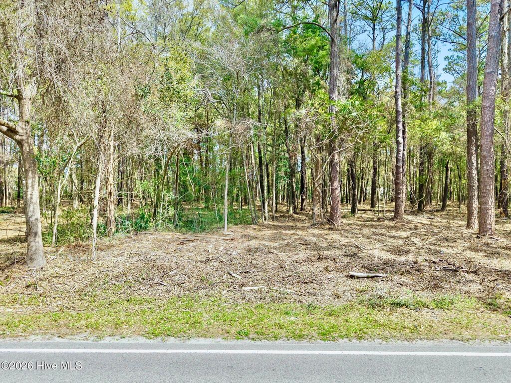 Photo of 1593 Bricklanding Road SW, Shallotte, NC 28470 (MLS # 100563954)