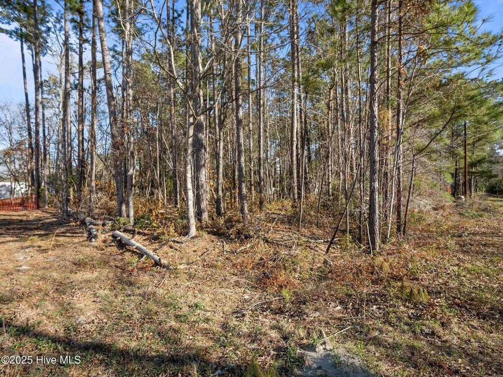 Photo of 400 Stoneybrook Drive, Swansboro, NC 28584 (MLS # 100497609)