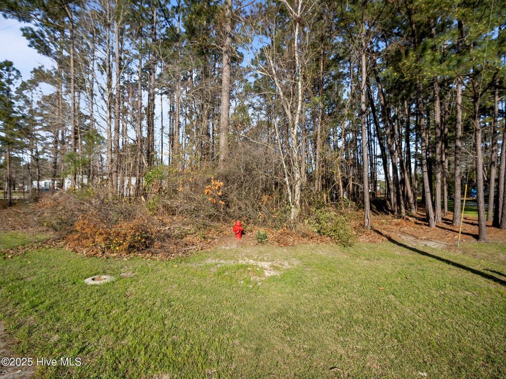 Photo of 400 Stoneybrook Drive, Swansboro, NC 28584 (MLS # 100497609)