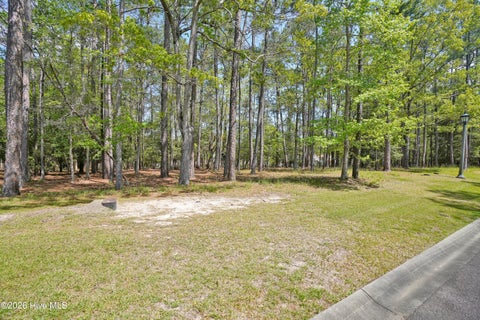 Vacant Land For Sale - 3736 Pine Brook Trail<br/> Shallotte, NC 28470