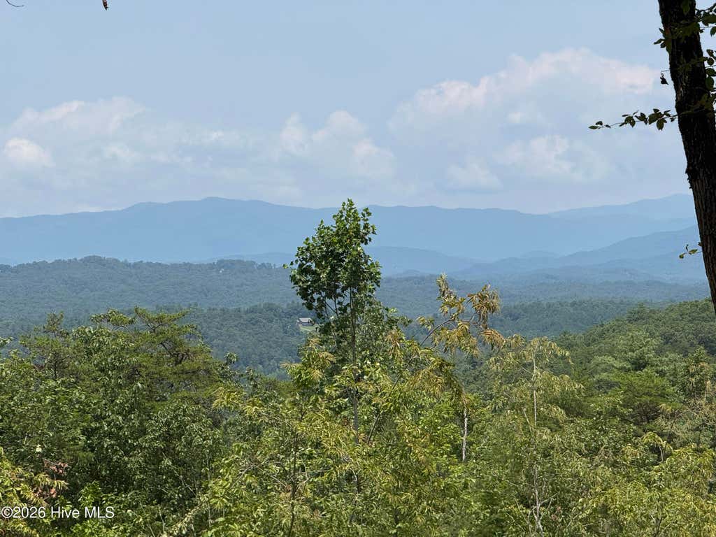 Photo of 200 Avalon Crest, Murphy, NC 28906 (MLS # 100594043)