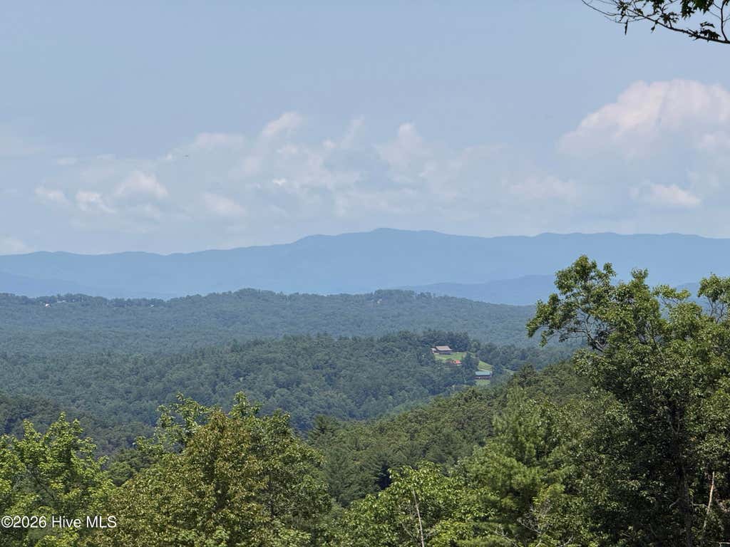 Photo of 200 Avalon Crest, Murphy, NC 28906 (MLS # 100594043)