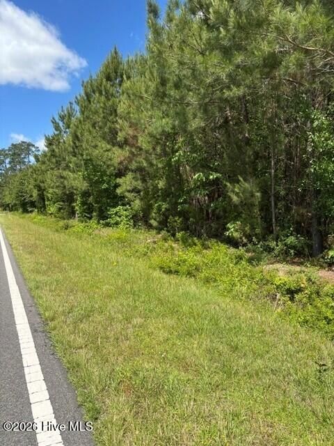 Tiny photo for 0 Beattys Bridge Road, Atkinson, NC 28421 (MLS # 100573799)