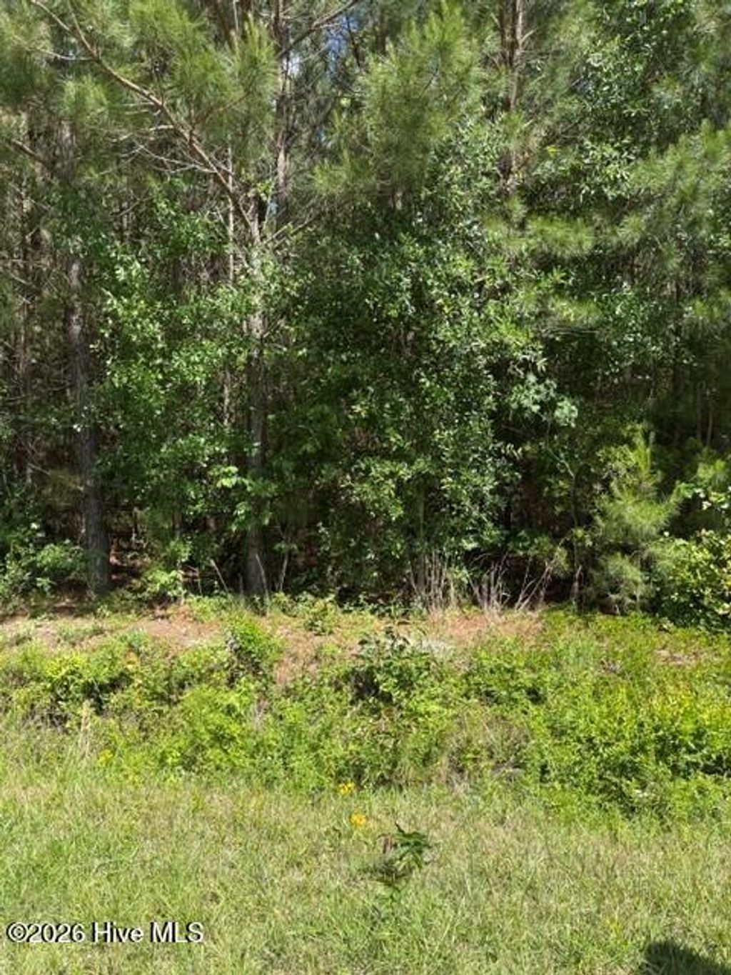 Photo of 0 Beattys Bridge Road, Atkinson, NC 28421 (MLS # 100573799)