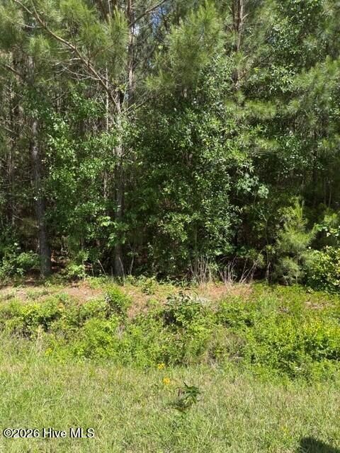 Tiny photo for 0 Beattys Bridge Road, Atkinson, NC 28421 (MLS # 100573799)