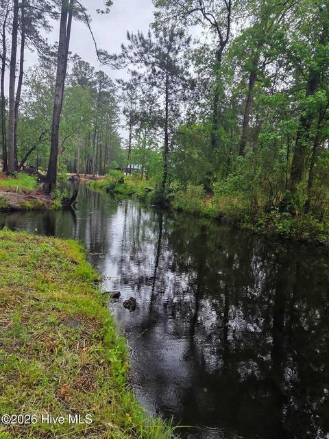 Photo of 48 Juniper Lane, Currie, NC 28435 (MLS # 100573768)