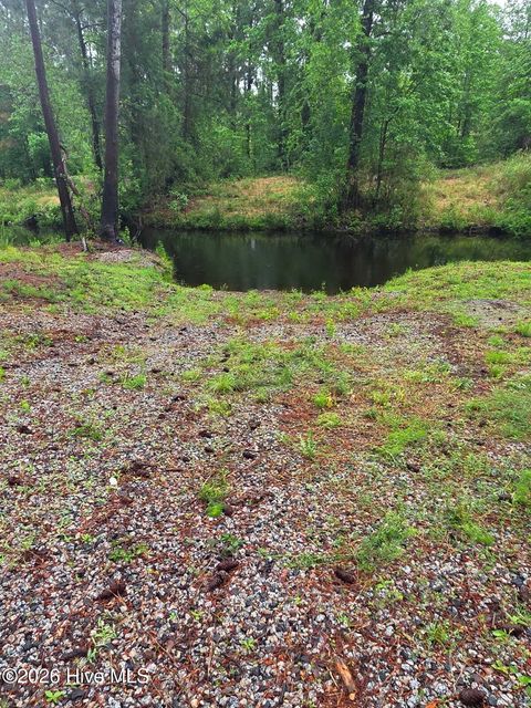 Tiny photo for 48 Juniper Lane, Currie, NC 28435 (MLS # 100573768)