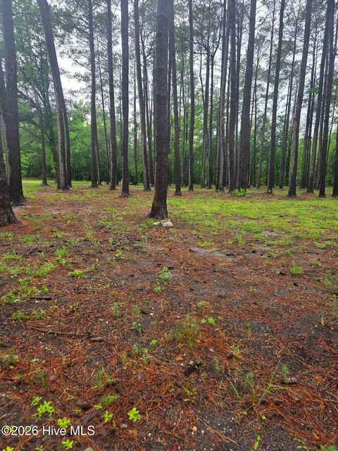 Tiny photo for 48 Juniper Lane, Currie, NC 28435 (MLS # 100573768)