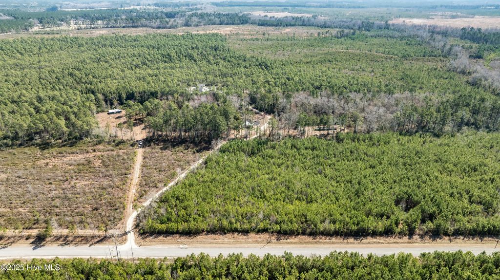 Photo of 4 Brown Heritage Road, Maple Hill, NC 28454 (MLS # 100491245)