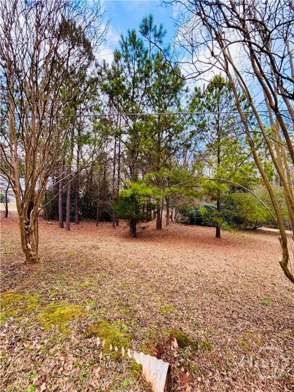 Photo of 1111 Sunnyside Drive, Athens, GA 30606 (MLS # CL347993)