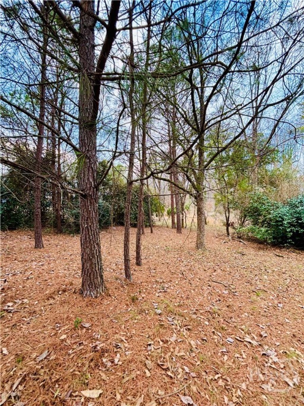 Photo of 1111 Sunnyside Drive, Athens, GA 30606 (MLS # CL347993)