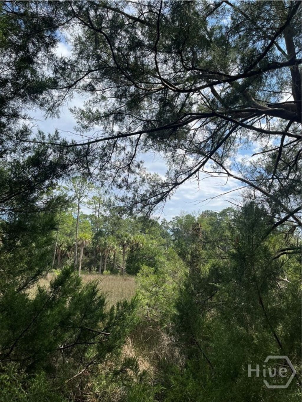 Photo of 0 Perry Cove, Savannah, GA 31410 (MLS # SA350172)