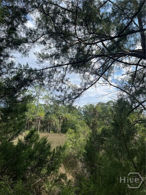 0 Perry Cove Savannah GA 31410
