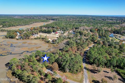 Tiny photo for 2014 Marsh Acres Court, Supply, NC 28462 (MLS # 100556552)
