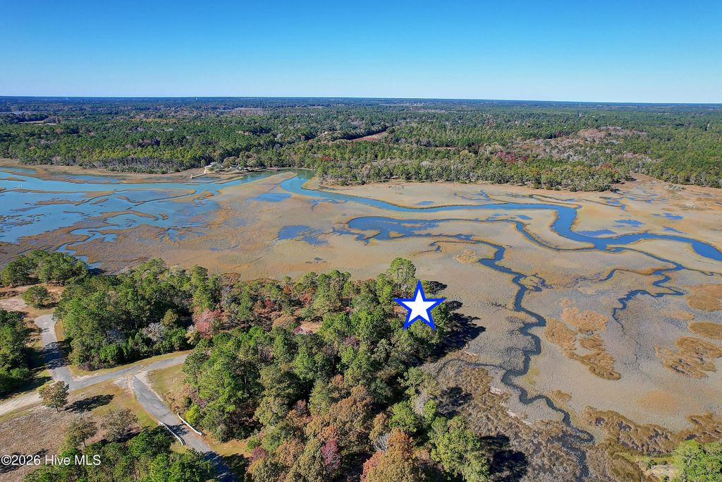 Photo of 2014 Marsh Acres Court, Supply, NC 28462 (MLS # 100556552)