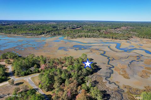 Tiny photo for 2014 Marsh Acres Court, Supply, NC 28462 (MLS # 100556552)