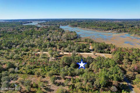 Tiny photo for 2014 Marsh Acres Court, Supply, NC 28462 (MLS # 100556552)