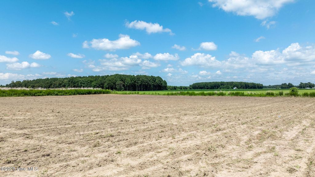 Photo of 000 Oberry Road, Dudley, NC 28333 (MLS # 100520582)