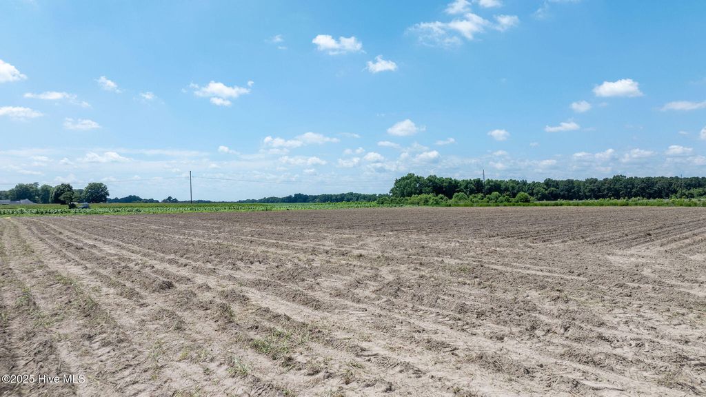 Photo of 000 Oberry Road, Dudley, NC 28333 (MLS # 100520582)