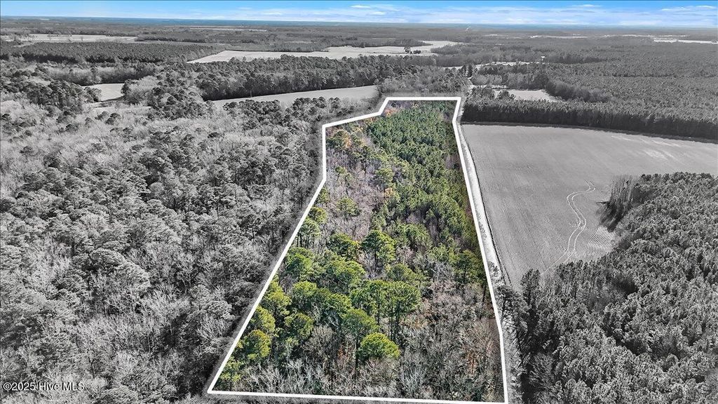 Photo of 1218 Elleanor Road, Gates, NC 27937 (MLS # 100546475)