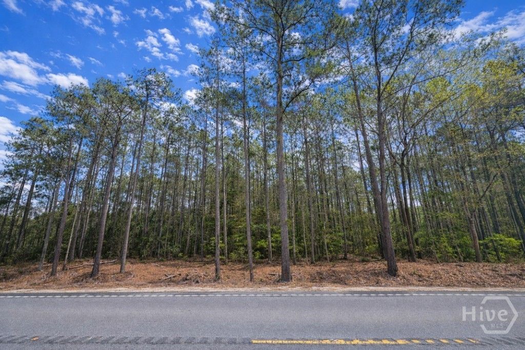 Photo of 19805 Ga Highway 144, Richmond Hill, GA 31324 (MLS # SA351297)