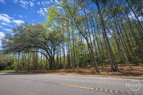 Vacant Land For Sale - 19805 Ga Highway 144<br/> Richmond Hill, GA 31324