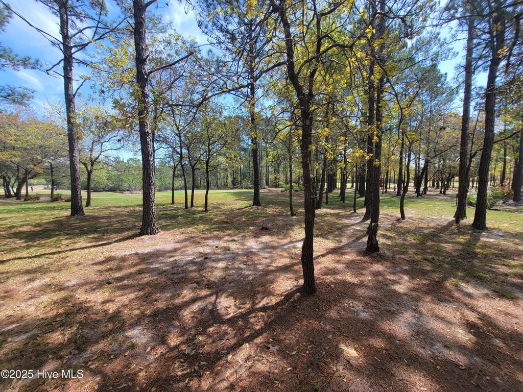 Photo of 6618 Annesbrook Place, Ocean Isle Beach, NC 28469 (MLS # 100507058)