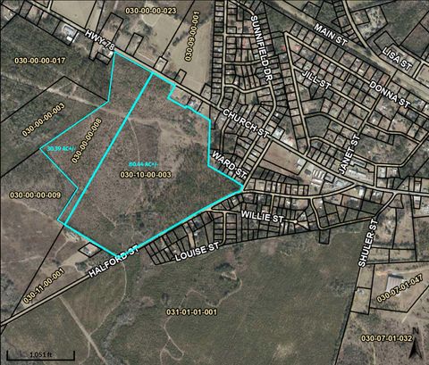 Vacant Land For Sale - 000 Hwy 78<br/> Barnwell County, Williston, SC 29853