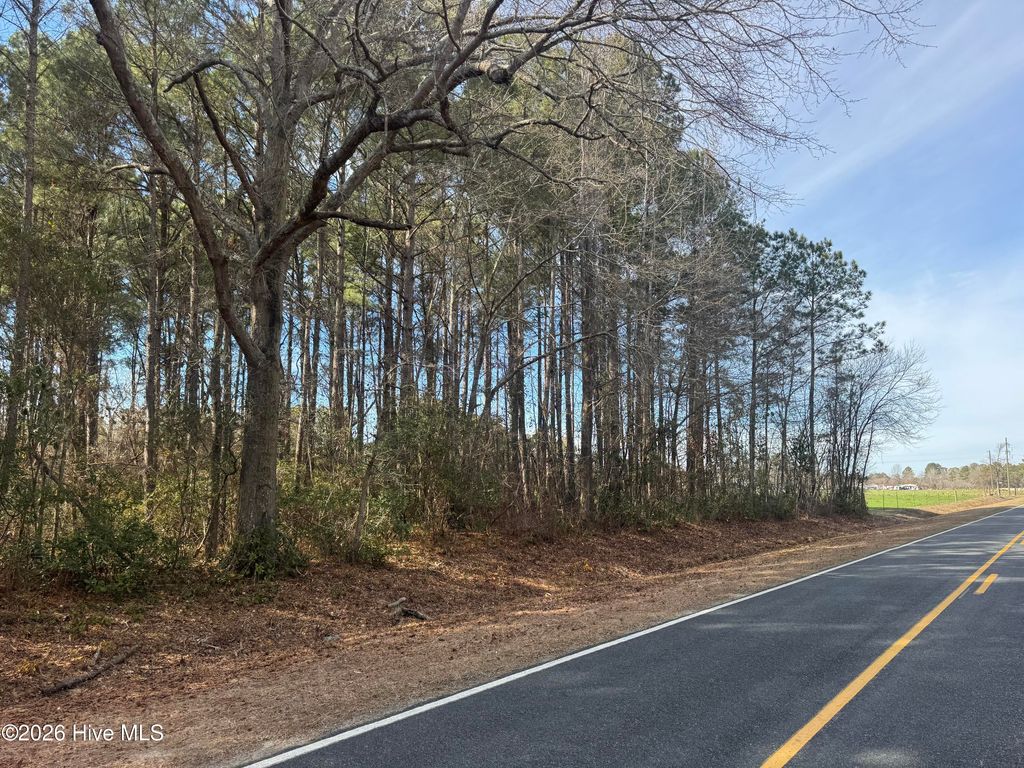 Photo of 0 Butler Mill Road, Bladenboro, NC 28320 (MLS # 100556261)