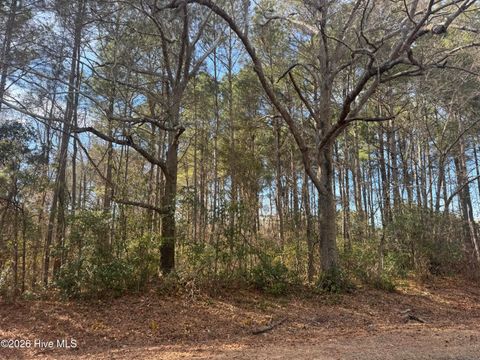 Vacant Land For Sale - Butler Mill Road<br/> Bladen County, Bladenboro, NC 28320