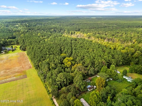 Vacant Land For Sale - 150 Mattie Lane<br/> Richlands, NC 28574