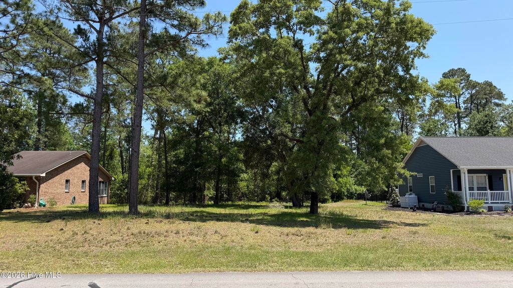 Photo of 808 Black Swan Road, New Bern, NC 28560 (MLS # 100575930)