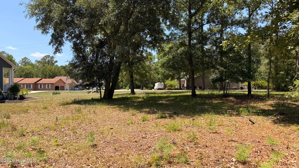 Photo of 808 Black Swan Road, New Bern, NC 28560 (MLS # 100575930)
