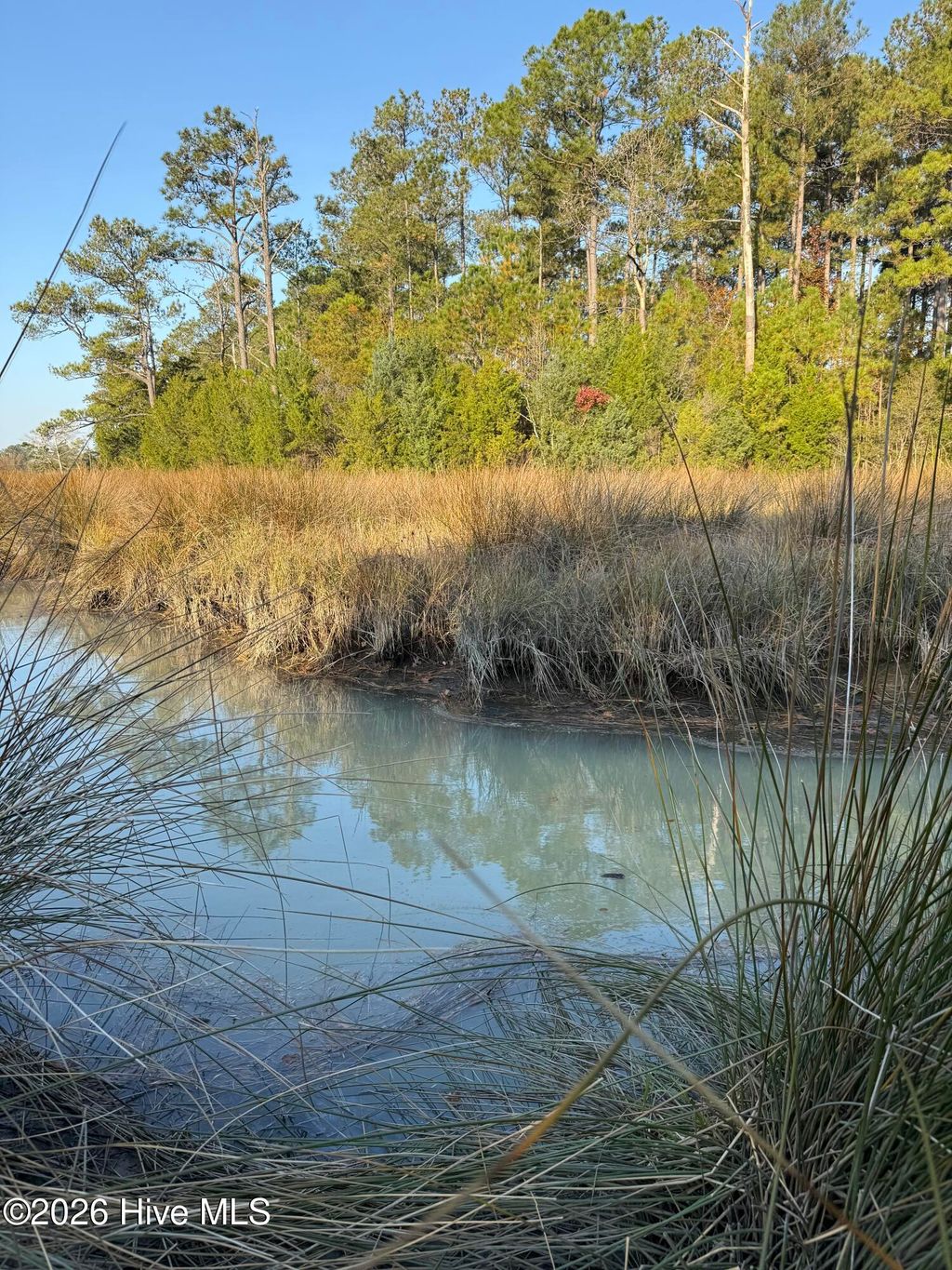 Photo of 219 Ocracoke Drive, Oriental, NC 28571 (MLS # 100569505)