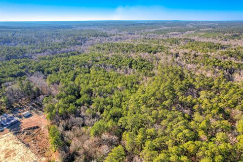Vacant Land For Sale - 5479 Tubman Road<br/> Appling, GA 30802