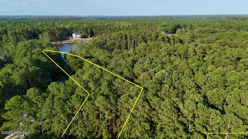 Photo of 394 Bay Shores Road, Merritt, NC 28556 (MLS # 100519065)