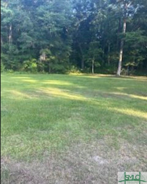 Ellabell, Georgia 31308, United States, 3 Bedrooms Bedrooms, ,2 BathroomsBathrooms,Commercial,Active,255376