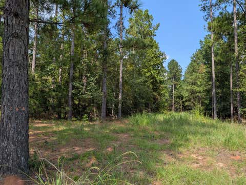 Vacant Land For Sale - 00A Elberton Hwy<br/> Lincolnton, GA 30817