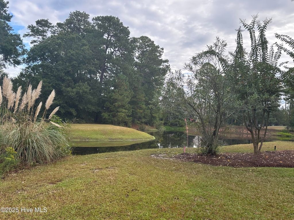 Photo of 555 Blakely Court NW, Calabash, NC 28467 (MLS # 100540093)