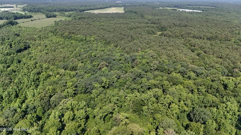 Vacant Land For Sale - Reedsford Road<br/> Turkey, NC 28393
