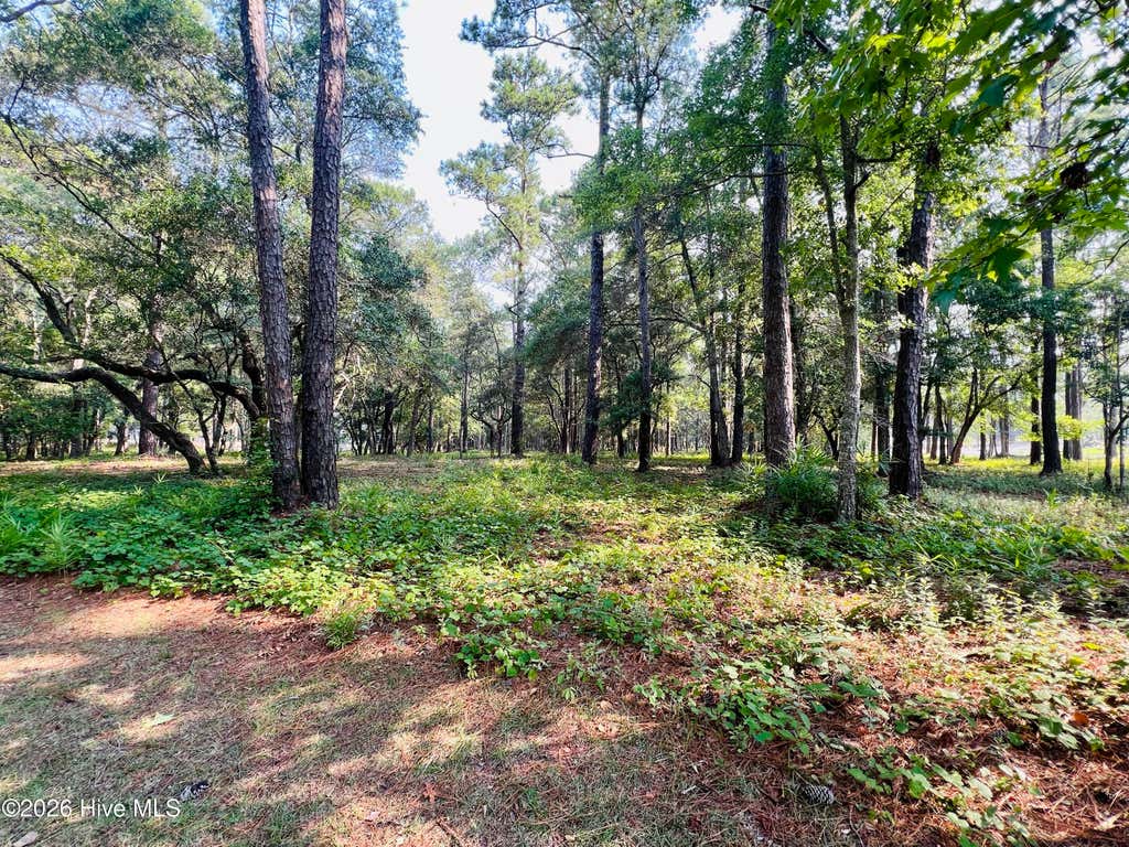 Photo of 834 Blue Gill Court SE, Bolivia, NC 28422 (MLS # 100588330)