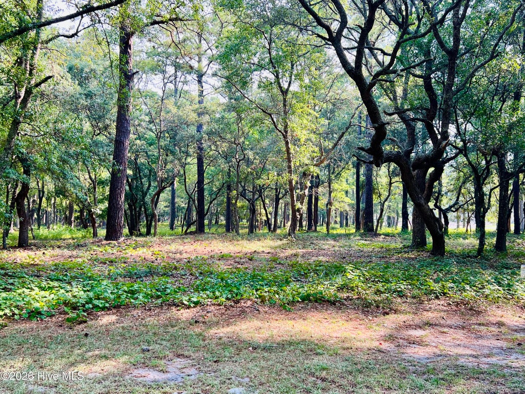 Photo of 834 Blue Gill Court SE, Bolivia, NC 28422 (MLS # 100588330)
