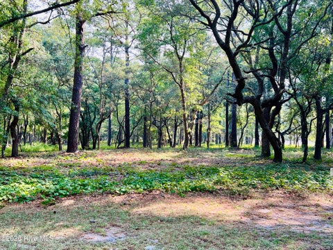 Vacant Land For Sale - 834 Blue Gill Court<br/> Brunswick County, Bolivia, NC 28422