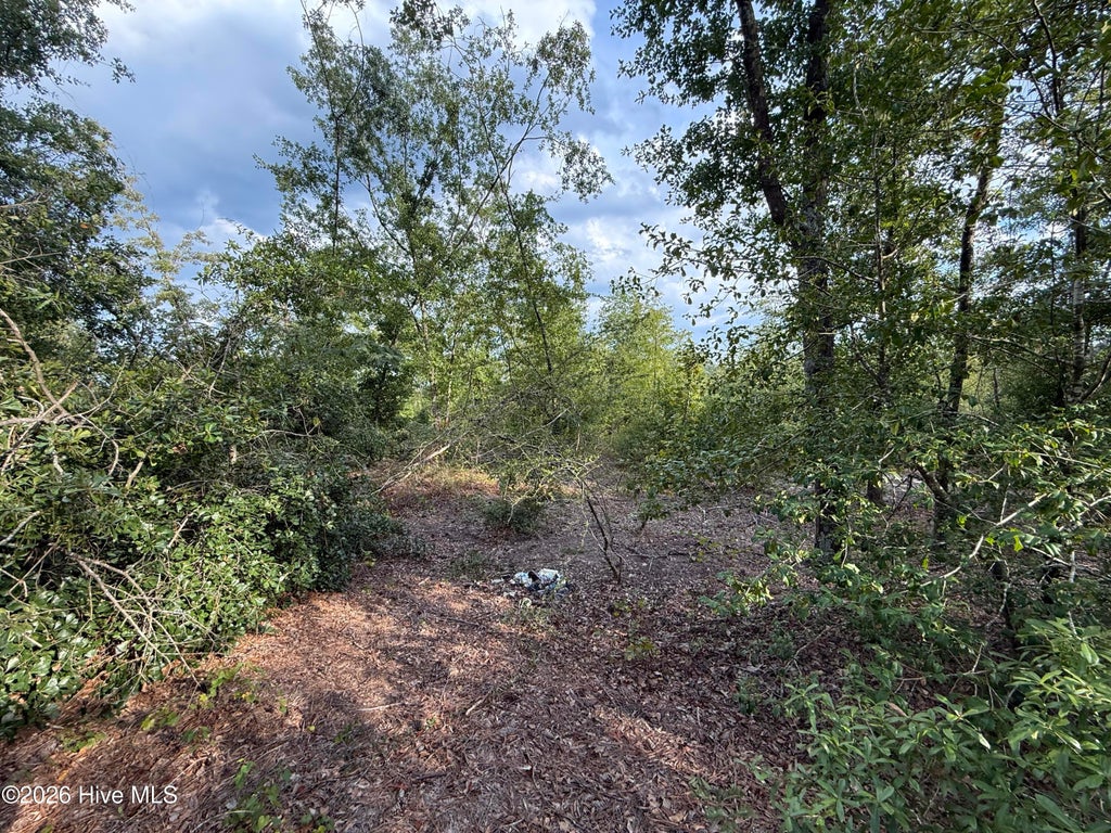 Photo of 1576 Hephzibah - Mcbean Road, Hephzibah, GA 30815 (MLS # 100603540)