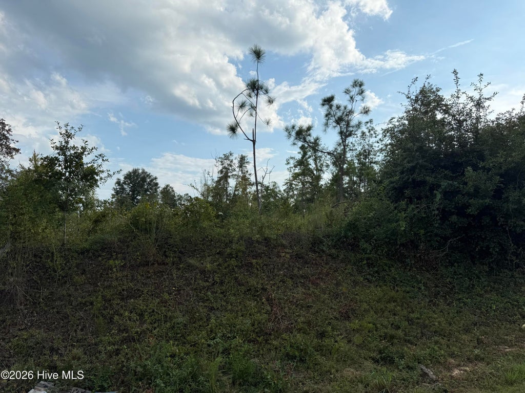 Photo of 1576 Hephzibah - Mcbean Road, Hephzibah, GA 30815 (MLS # 100603540)